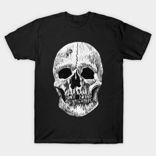 Skull Print - Anatomy Print - Skeleton T-Shirt